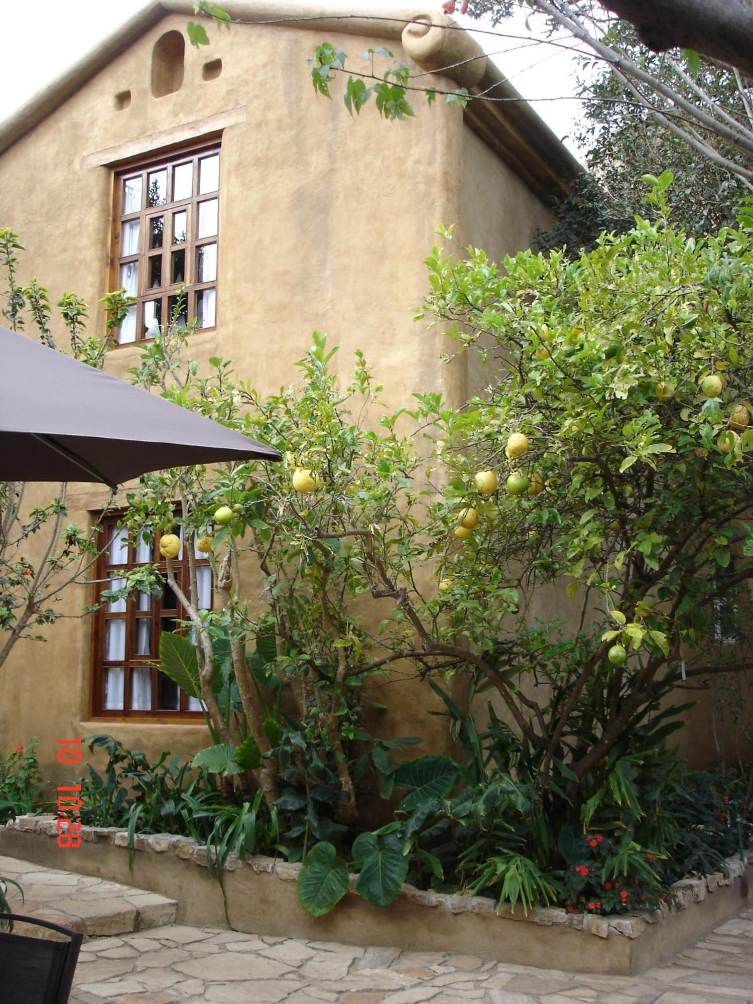 Guayaba Inn Boutique Hotel San Cristóbal de Las Casas Esterno foto
